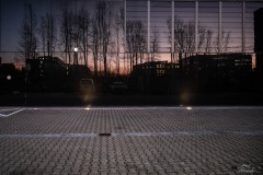 NZ7_6353