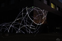 NZ7_6373
