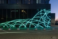 NZ7_6383