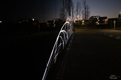 NZ7_6398