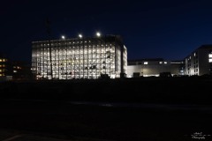 NZ7_6403