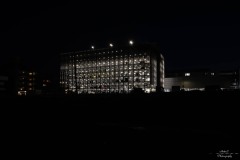 NZ7_6404