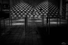 NZ7_6430-Bearbeitet