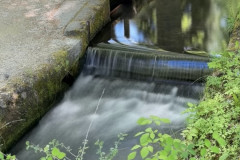 IMG_5571