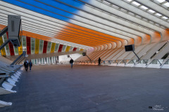 NZ7_7442