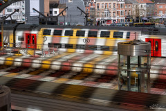 NZ7_7526