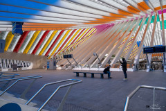 NZ7_7562