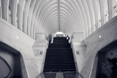 NZ7_7587