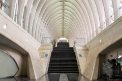 NZ7_7595