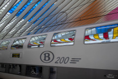 NZ7_7647