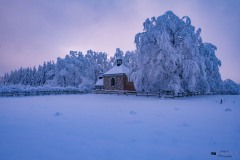 NZ7_6436
