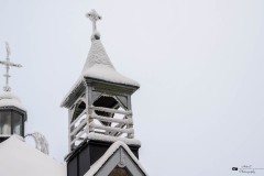 NZ7_6461