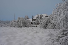 NZ7_6476