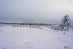 NZ7_6553