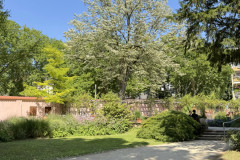 2025-08-10_12-35-19_940