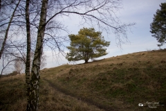 IMG_3088-2