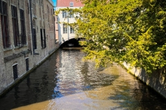 IMG_1796