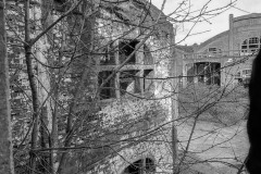IMG_9104