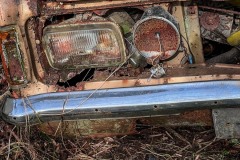 IMG_9136