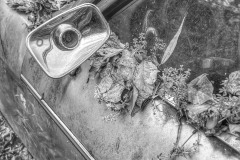 IMG_9162
