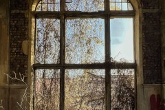 LR-IMG_9029