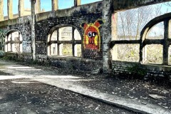 LR-IMG_9071
