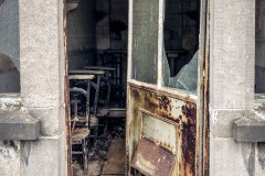 IMG_7517