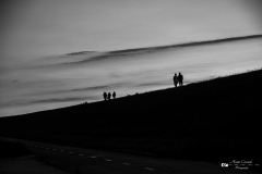 IMG_6647