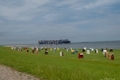 P1020048