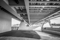 IMG_8333