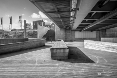 IMG_8368