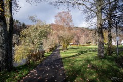 NZ7_5836