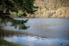 NZ7_5869