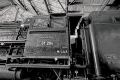 IMG_5833