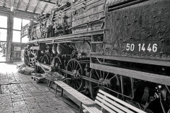 IMG_5914