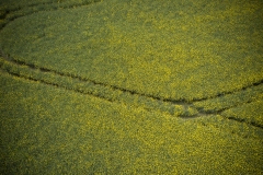 DJI_0323