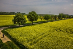 DJI_0391