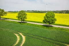 DJI_0395