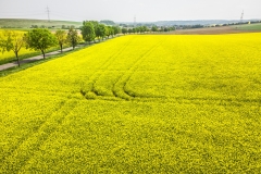 DJI_0416
