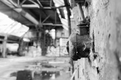IMG_1874