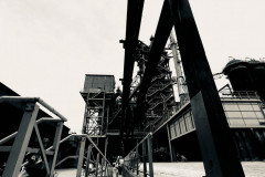IMG_1929