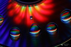 IMG_3204ACO