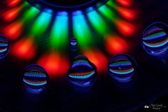 IMG_3207ACO-1