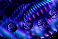 IMG_3209ACO