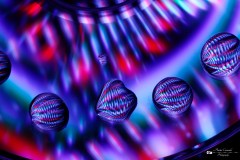 IMG_3210ACO