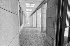 IMG_4990