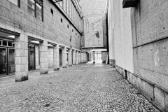 IMG_5012