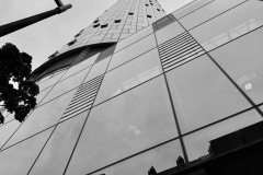 IMG_7162