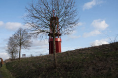 NZ7_6730