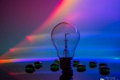 IMG_2869